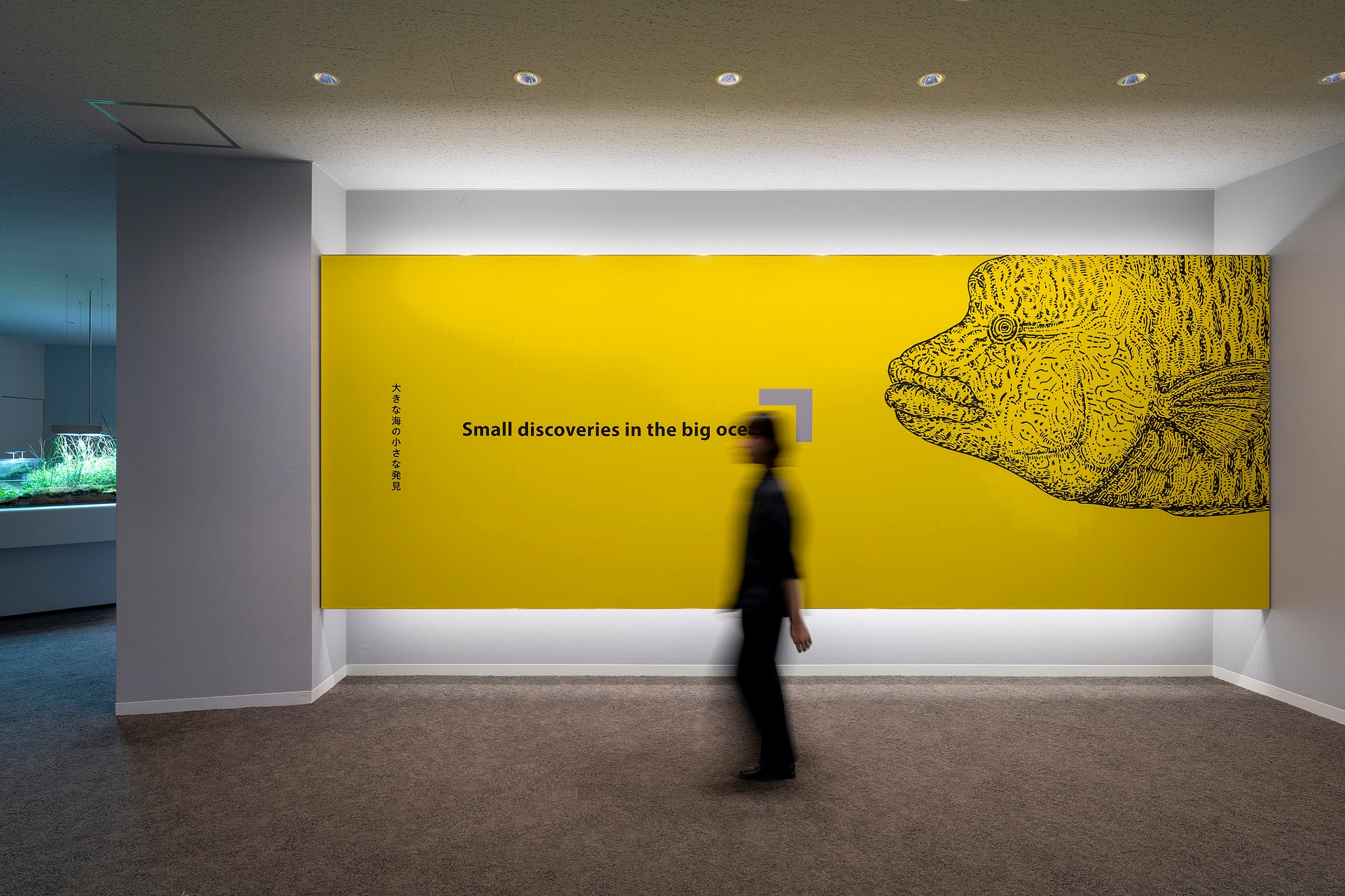 城崎マリンワールド SeaZoo1